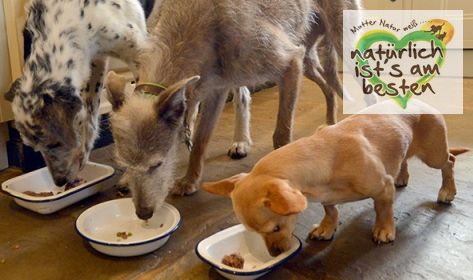 Zoofachhandel für Hundebedarf und Hundezubehör